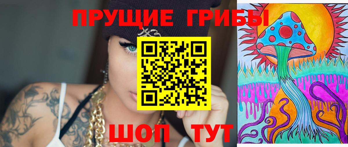 Галлюциногенные грибы GOLDEN TEACHER Новороссийск