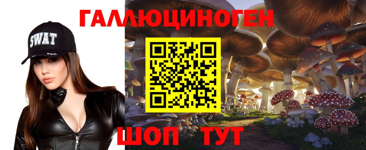 Галлюциногенные грибы MAGIC MUSHROOMS  Вход с VPN  Псилоцибиновые грибы ЛСД  Новороссийск 